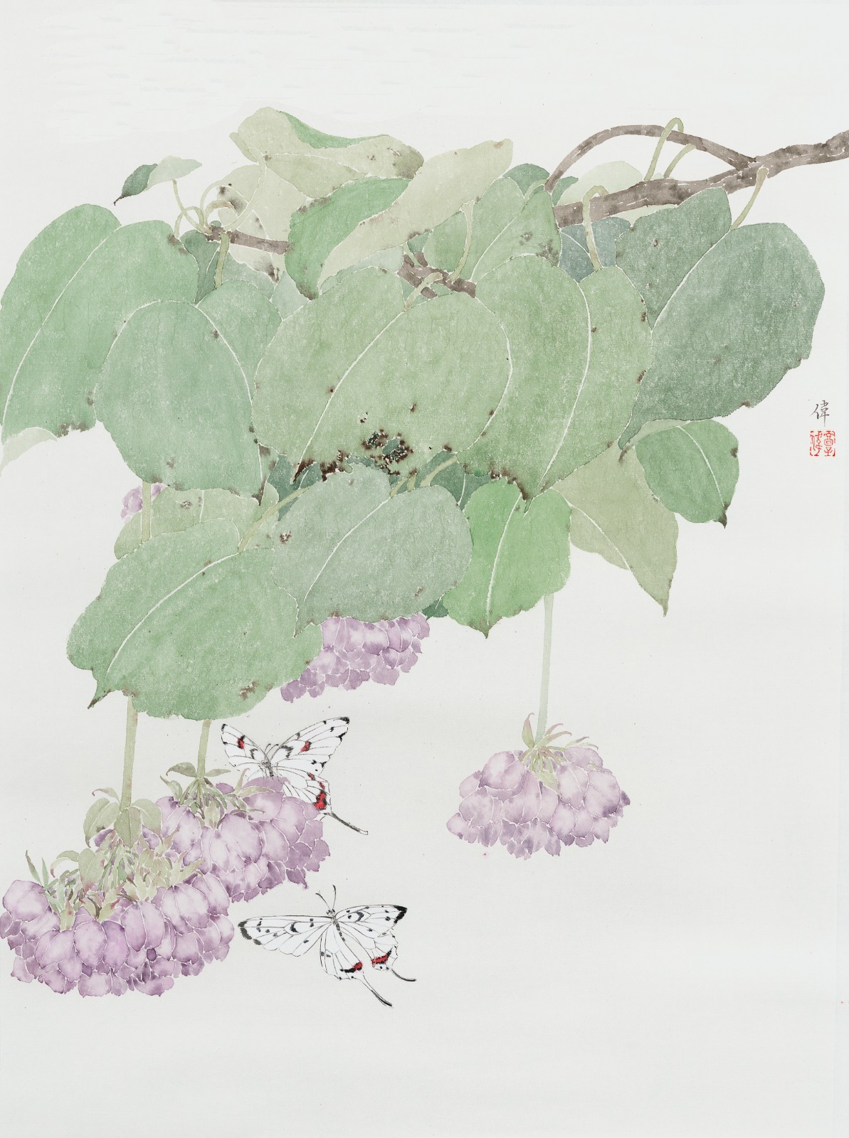 1704984266805400.jpg